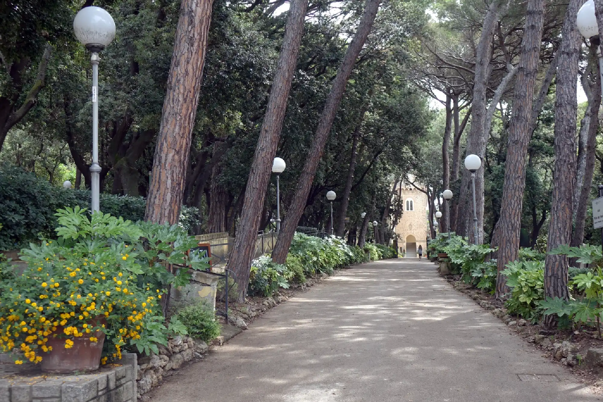 PASSEGGIATE E LABORATORI